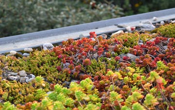 the cost of Middleton Green green roof installation