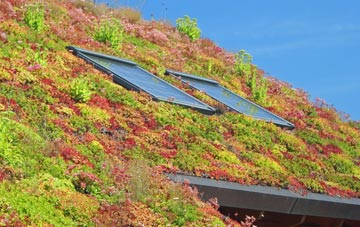 Middleton Green living roof systems