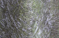 Middleton Green fibreglass roof work